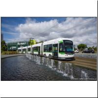 2017-07-11 T3 Orvault-Morliere 369 01.jpg